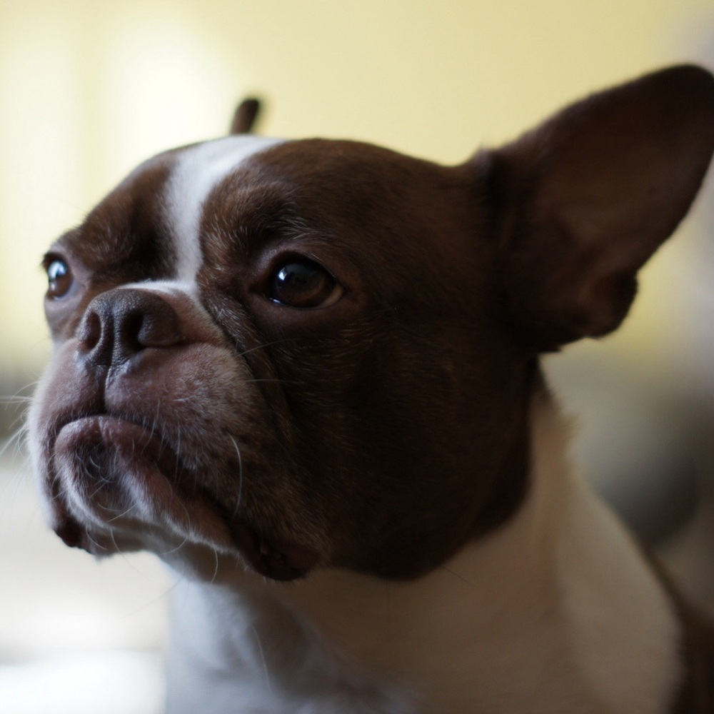 Meet your Posher, Nina